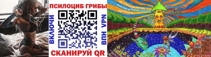 Галлюциногенные грибы прущие грибы  Купить закладки  Кудрово 